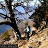 Monte au Rey