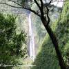 LA REUNION