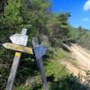 Embranchement pour monter par la fort