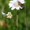 Macro 2010
