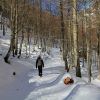 Randonne dans la neige  ct de Gavarnie