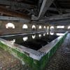 Le lavoir de Bourg