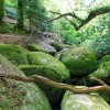 Chaos de Huelgoat en Bretagne