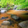 Mare aux Sangliers