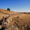 Paysage d'Aubrac