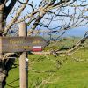 GR 65 sur le plateau de l'Aubrac