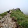 Vtt au Puy Mary