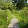 Trbeurden, les marais de Quellen