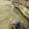 Sur la plage de Guthary