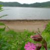 Massif du Mont Dore : le Lac de Gury