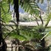 La Grande Mare dans la fort de Blouve