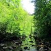 Verdure et fraicheur sont au rendez vous dans le trou de Bozouls