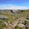 Refuge du Rajas sur l'Aubrac en Lozre