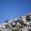 Refuge Gramusset - Col Vert