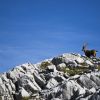 Refuge Gramusset - Col Vert