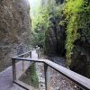 Sentier en bois dans les gorges de Kakuetta