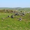 Herbe et rochers sur le plateau de l'Aubrac