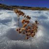 La neige est l face au Col de Pourteillou