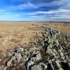 Randonne sur le plateau de l'Aubrac