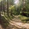 Craponne sur Arzon