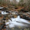 Photos de cascades dans une fort des Hautes-Pyrnes