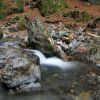 Cours d'eau dans la fort du Bu