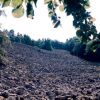 coule de lave de Bourianne