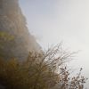 Entre ciel et brume