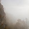 Paysage difficile  voir avec le brouillard
