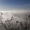 entre ciel et brume