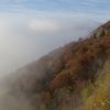 Entre ciel et brume