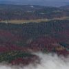 Entre ciel et brume dans le Jura