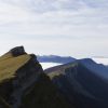 Brouillard au loin