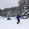 Randonne sur l'Aubrac dans la neige