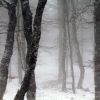 Progression dans le brouillard