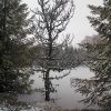 Lac gel en Aubrac