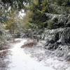 Progression dans la neige en Aveyron
