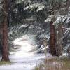 Randonne en Aubrac