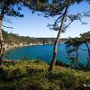 Sentier du Cap de la Chvre en Bretagne