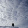 Entre ciel et neige