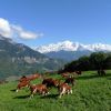 Le Mont Blanc, vu d'au dessus de Sallanches, Alpes Franaises