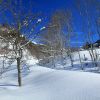 Balade dans la neige  Barges