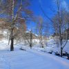 Randonne dans la neige  Barges