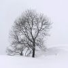 col de Bazes