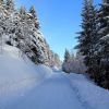 La route qui monte vers Chez Louisette