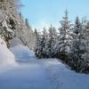 La neige recouvre tout