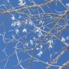 hiver