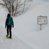 Randonne en raquettes  neige