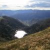 Vosges