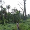 Trekking au Ghana